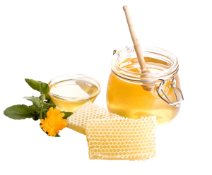 Honey PNG-11554